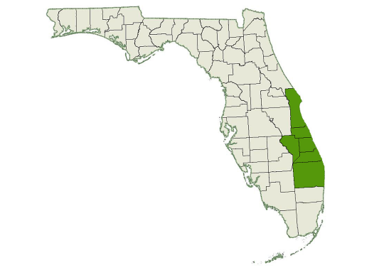 DogWatch of East Coast Florida service area map