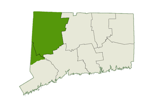 DogWatch of Litchfield & Upper Fairfield County service area map