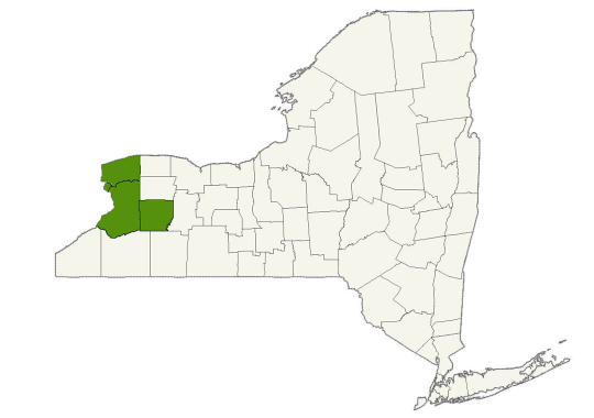 DogWatch of Buffalo and Niagara service area map