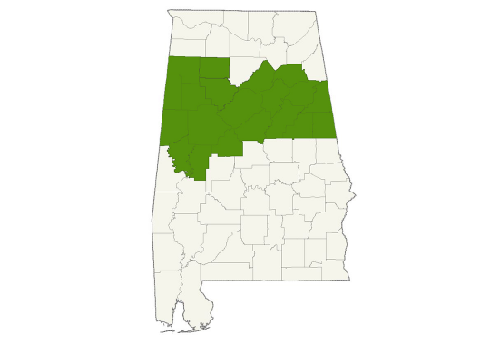 DogWatch of Central Alabama service area map
