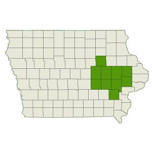 DogWatch of Cedar Rapids service area map