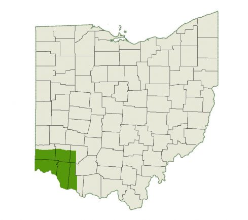 DogWatch of Greater Cincinnati service area map
