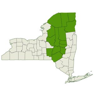 DogWatch of Upstate NY service area map