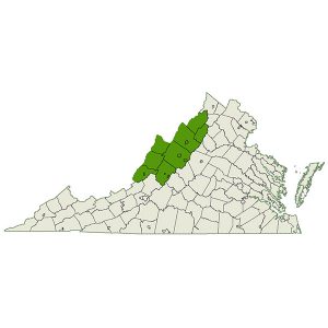 DogWatch of the Shenandoah Valley service area map