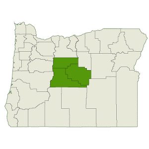 DogWatch of Central Oregon service area map