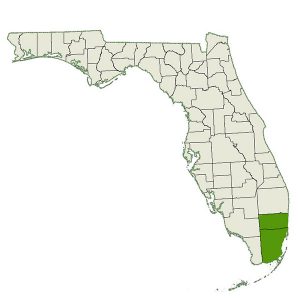 DogWatch of South Florida service area map