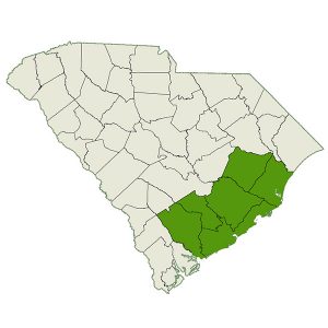 DogWatch of Greater Charleston service area map
