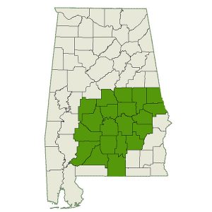 DogWatch of Mid-Alabama service area map