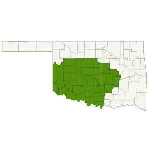 DogWatch of Central Oklahoma service area map