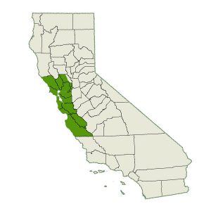 DogWatch of the Bay Area & Northern California service area map