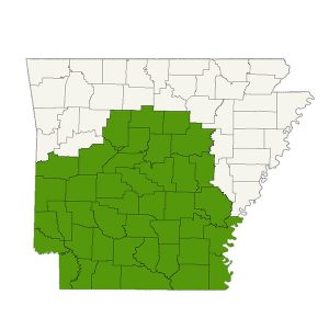 DogWatch by Arkansas Pet Safety Systems service area map
