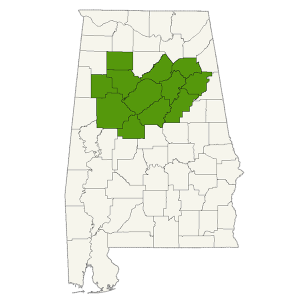 DogWatch of Central Alabama service area map