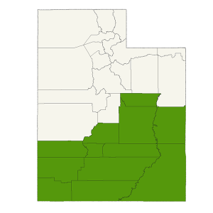 DogWatch of Southern Utah service area map