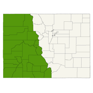 DogWatch of the Western Slope service area map
